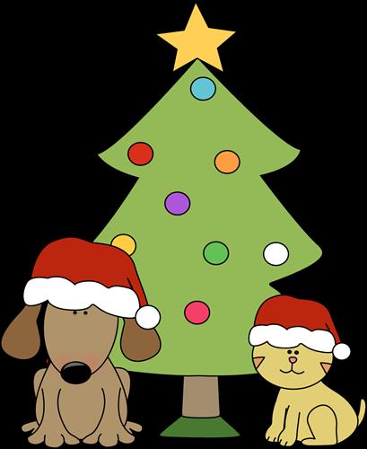 Cat and Dog in front of Christmas tree